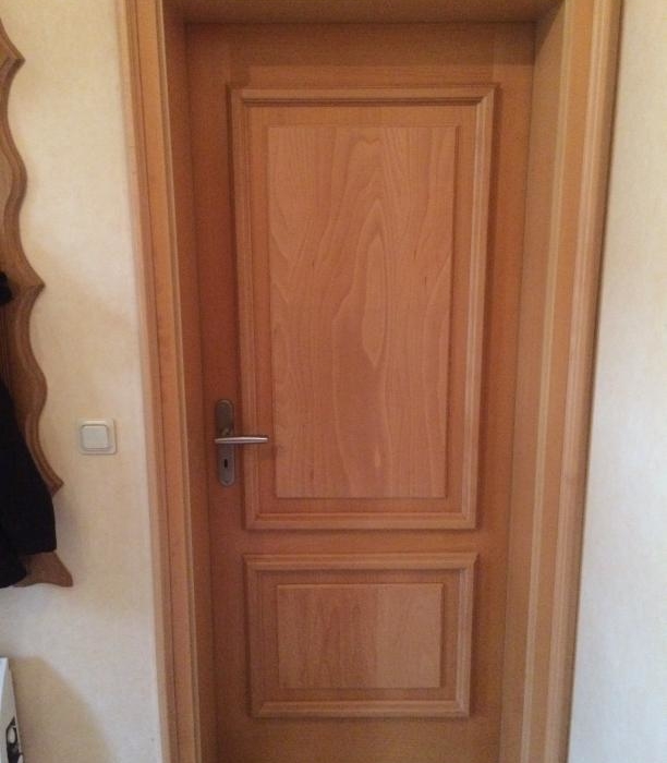 Innentür Buche Furnier als Stiltür Kassetten Füllung grade & Edelstahl Langschild Garnitur