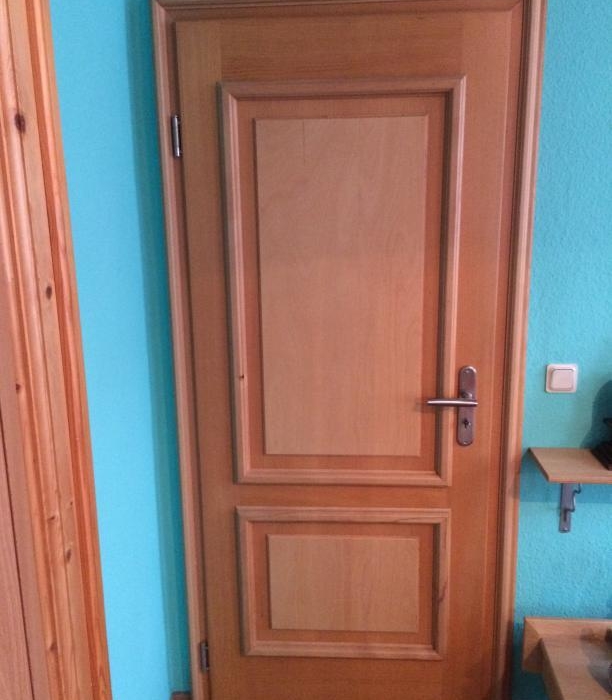Innentür Buche Furnier als Stiltür Kassetten Füllung grade & Edelstahl Langschild Garnitur