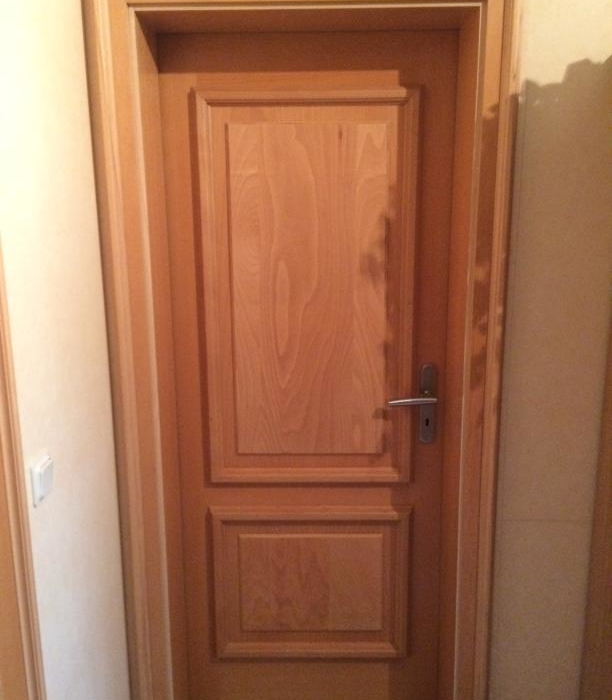 Innentür Buche Furnier als Stiltür Kassetten Füllung grade & Edelstahl Langschild Garnitur